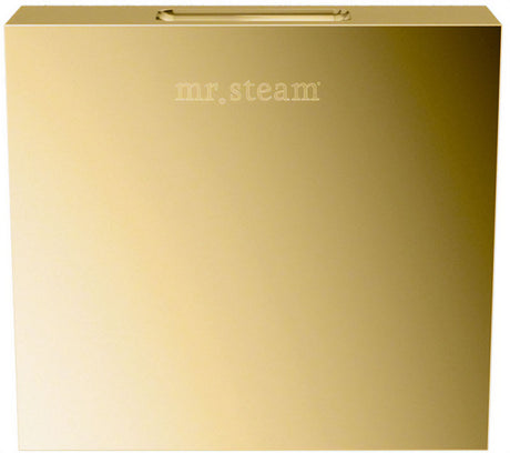 Aroma Designer Steam Head Polished Brass