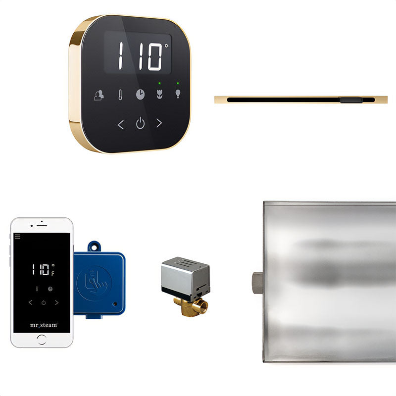 AirButler Control Package Linear Black Polished Brass