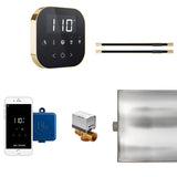 AirButler Max Control Package Linear Black Polished Brass