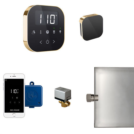 AirButler Control Package Black Polished Brass