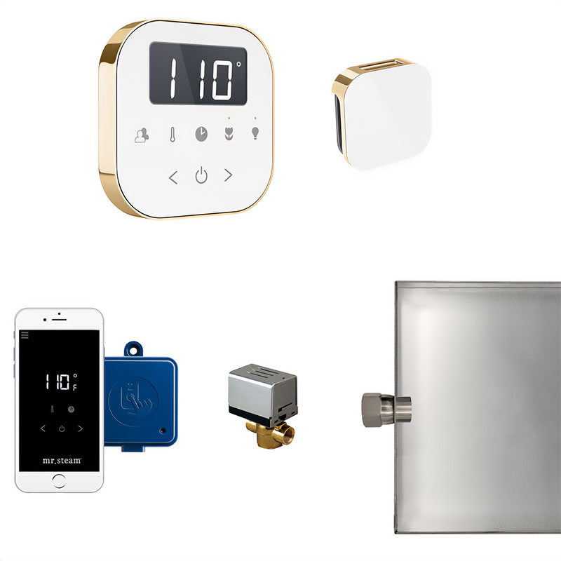AirButler Control Package White Polished Brass