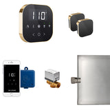 AirButler Max Control Package Black Polished Brass