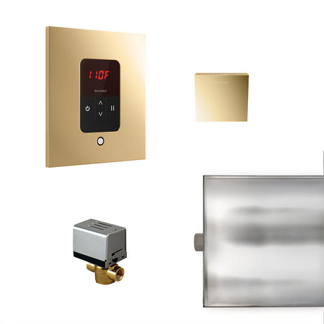 Basic Butler Steam Control Package Square Polished Brass