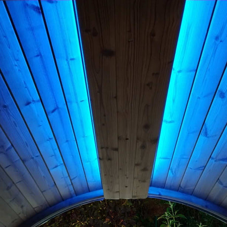ZiahCare's SaunaLife EMOOD LED Lighting System Mockup Image 2