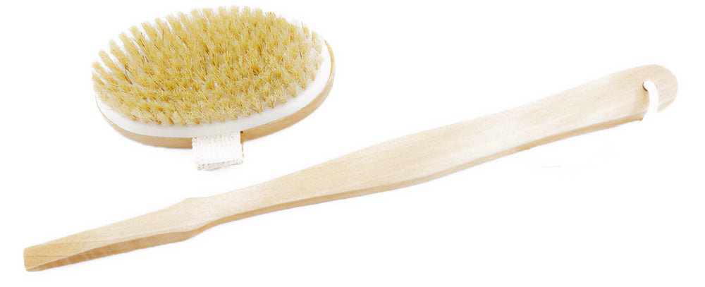 Scandia Sauna Brush c323e62640 4b2d 9685 f369ac14b6c1