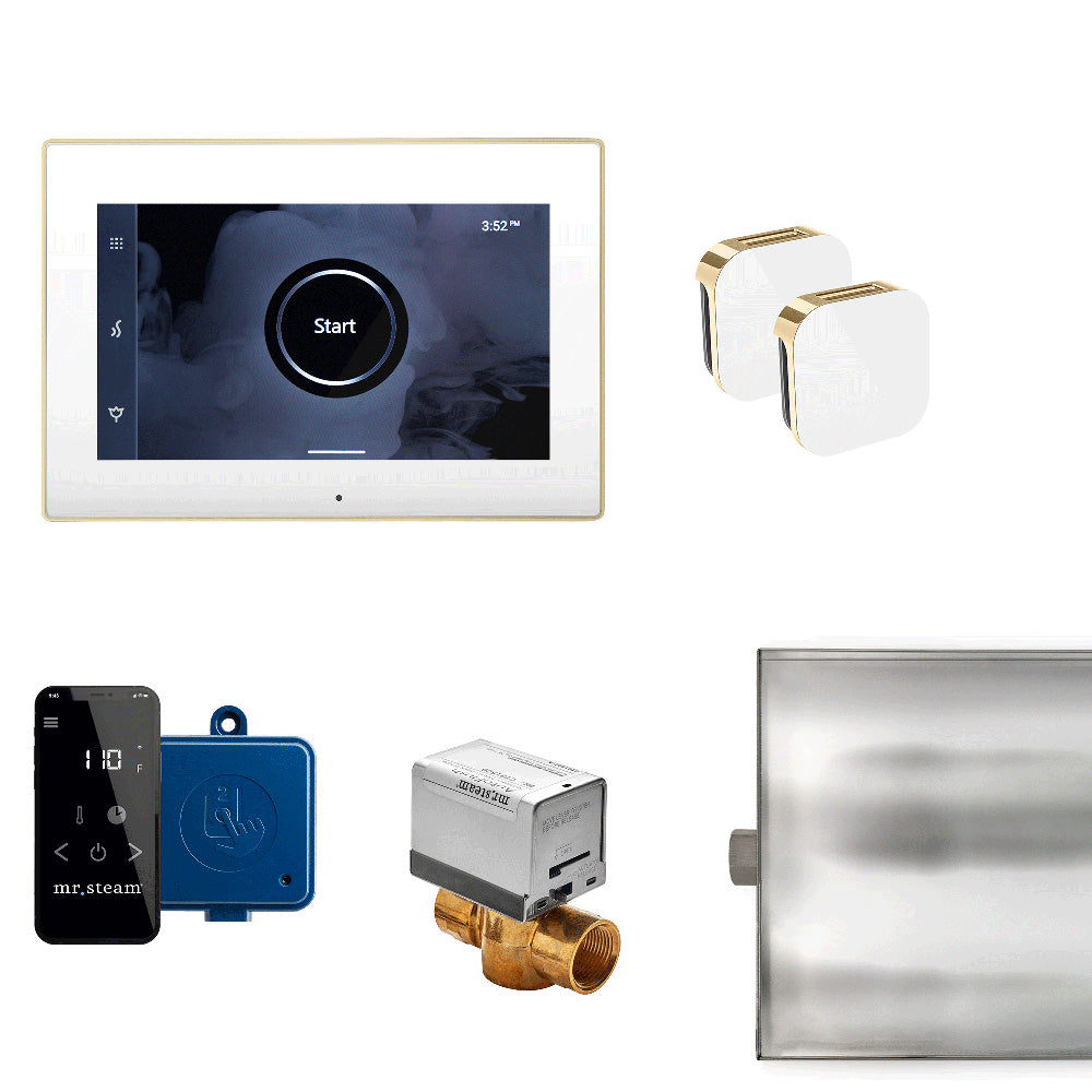 xButler Max Steam Control Package White Polished Brass