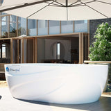ZiahCare's Dreampod Commercial Cold Plunge Mockup Image 7