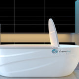 ZiahCare's Dreampod Home Float Pro Mockup Image 3