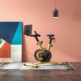 ZiahCare's Freebeat Boom Stationary Exercise Bike Lifestyle Mockup Image 28