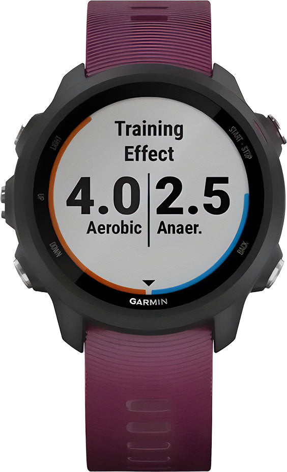 garmin Forerunner45 6