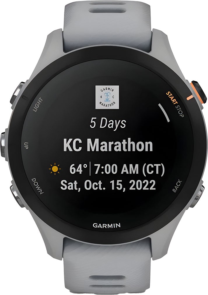 garmin Forerunner55S gray