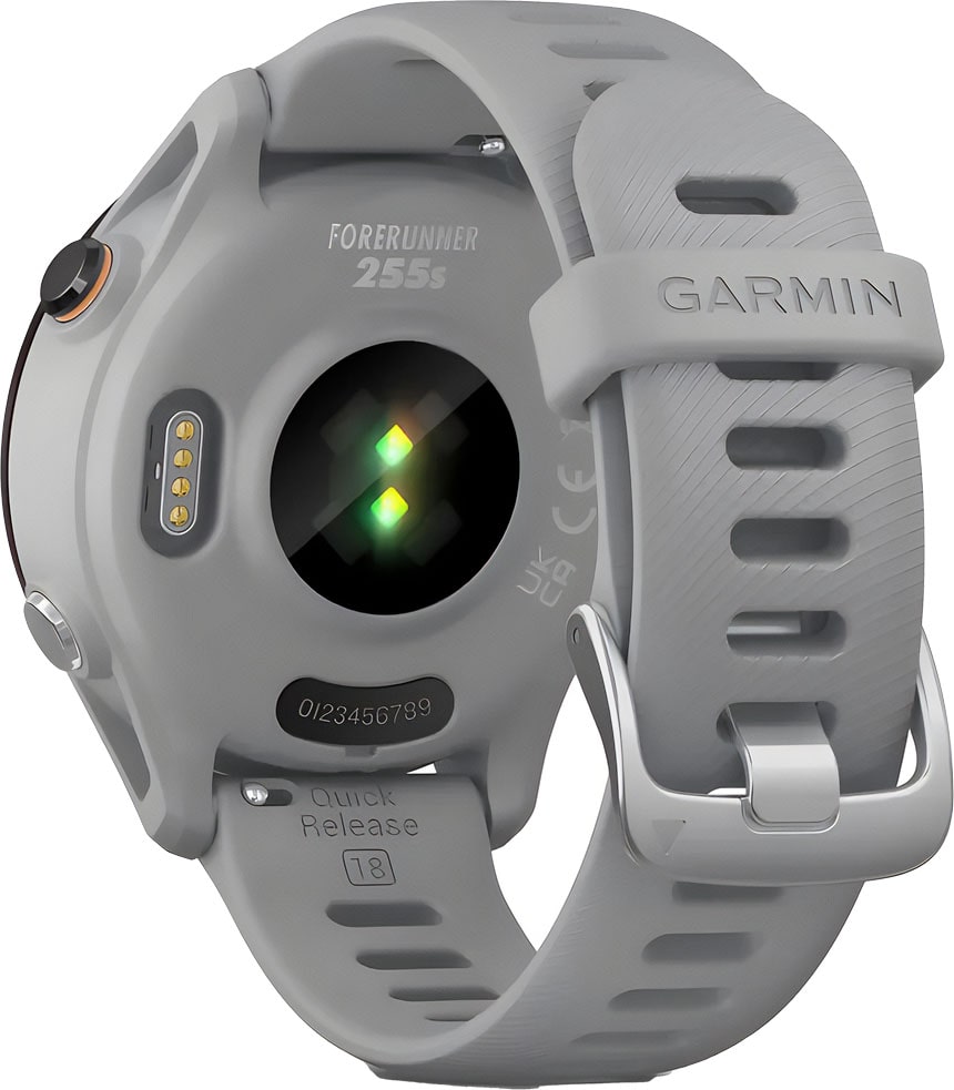 garmin Forerunner55S gray