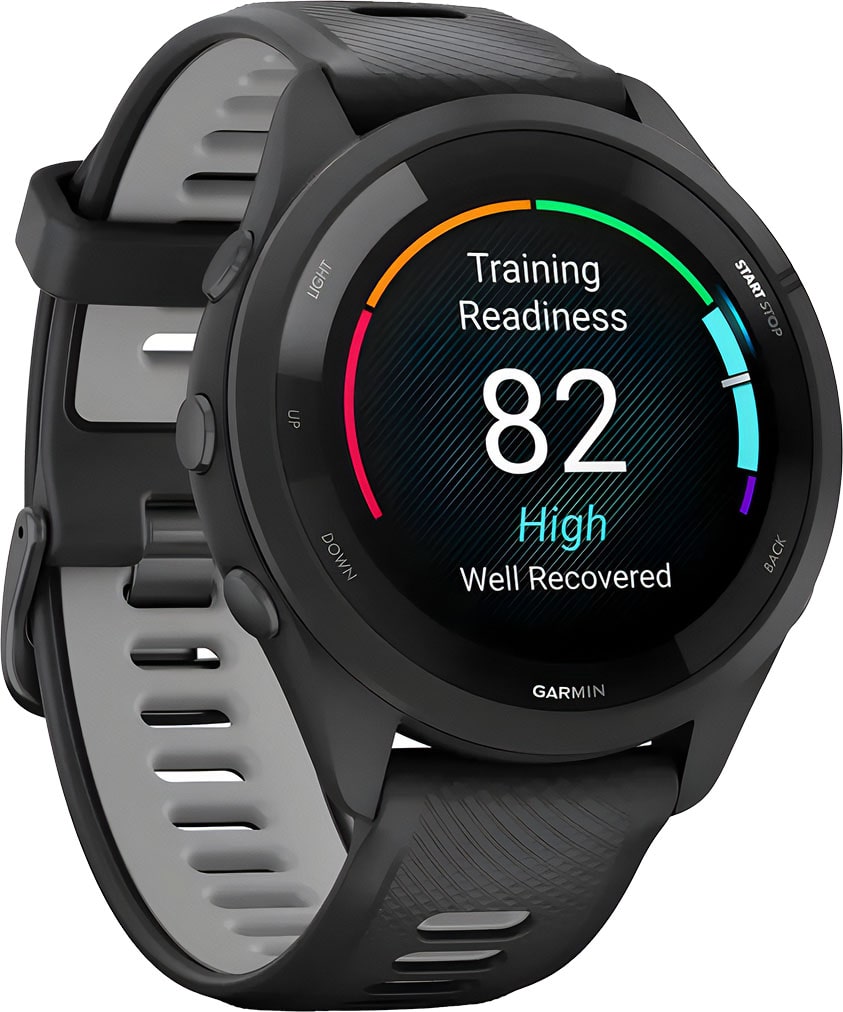 garmin Forerunner65 black gray 5