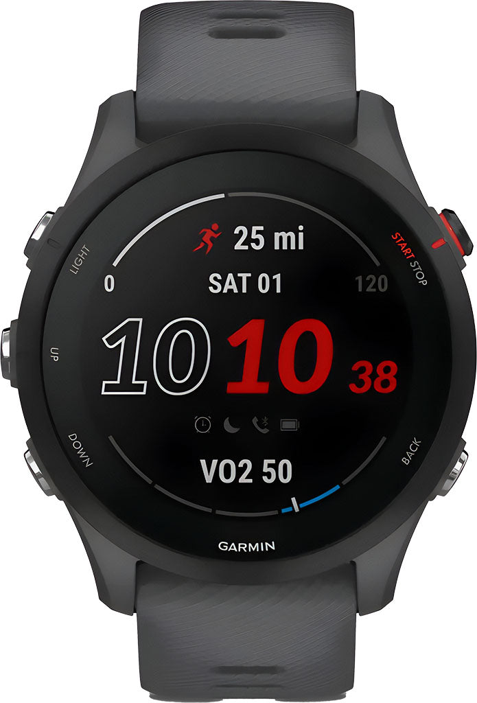 garmin Garmin Forerunner55 gray