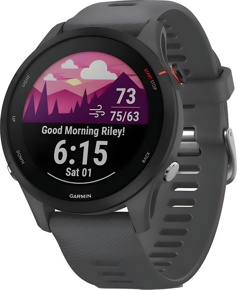 garmin Garmin Forerunner55 gray