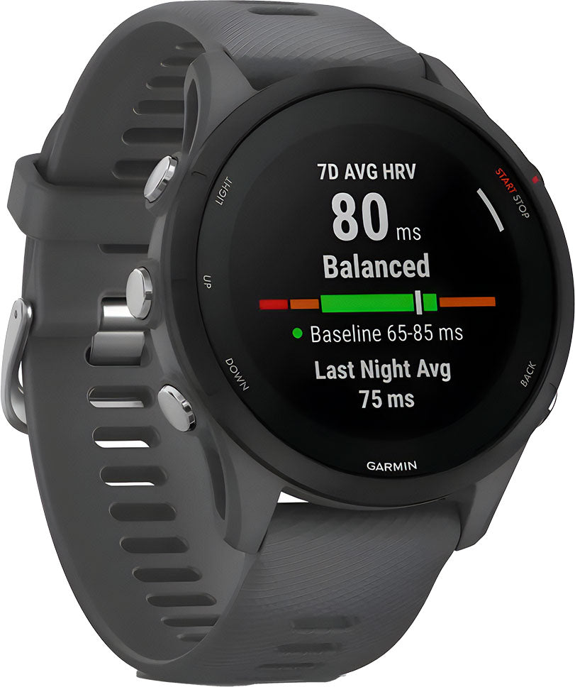 garmin Garmin Forerunner55 gray