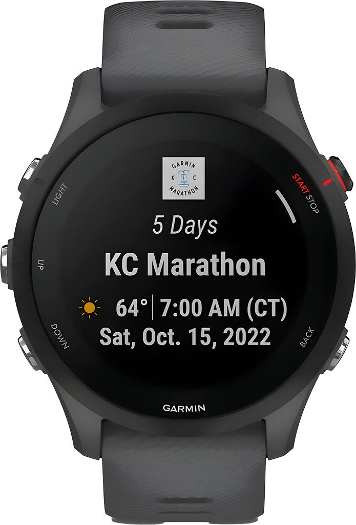 garmin Garmin Forerunner55 gray 5