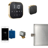 AirButler Steam Shower Steam Control Package with AirTempo Control and Aroma Glass SteamHead in Black Polished Brass Main View