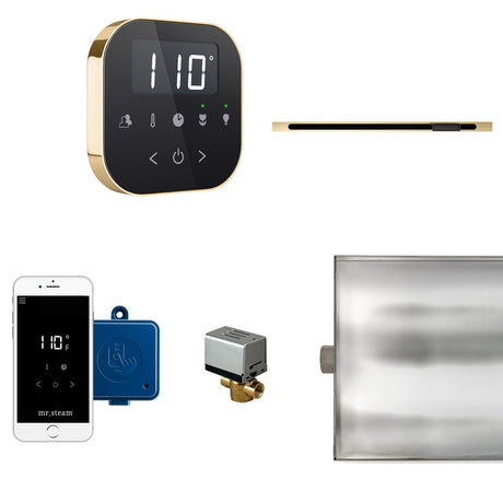 AirButler Linear Steam Shower Steam Control Package with AirTempo Control and Linear SteamHead in Black Polished Brass Main View