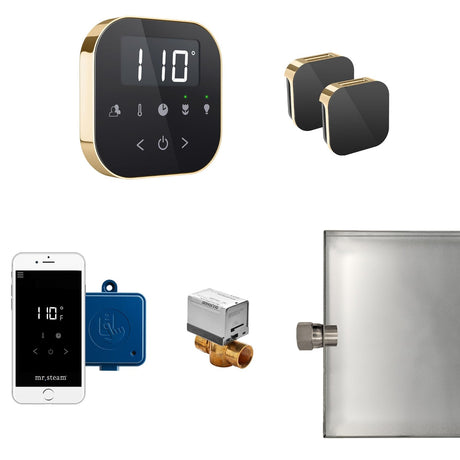 AirButler Max Steam Shower Steam Control Package with AirTempo Control and Aroma Glass SteamHead in Black Polished Brass Main View