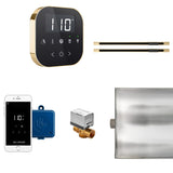 AirButler Max Linear Steam Shower Steam Control Package with AirTempo Control and Linear SteamHead in Black Polished Brass Main View