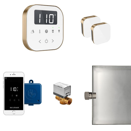 AirButler Max Steam Shower Steam Control Package with AirTempo Control and Aroma Glass SteamHead in White Brushed Bronze Main View