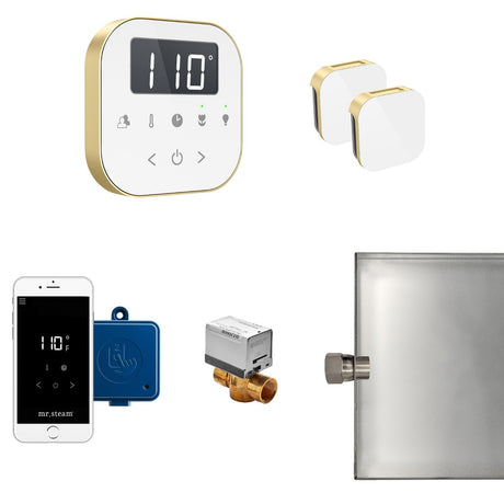 AirButler Max Steam Shower Steam Control Package with AirTempo Control and Aroma Glass SteamHead in White Satin Brass Main View