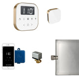 AirButler Steam Shower Steam Control Package with AirTempo Control and Aroma Glass SteamHead in White Brushed Bronze Main View