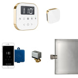 AirButler Steam Shower Steam Control Package with AirTempo Control and Aroma Glass SteamHead in White Polished Brass Main View