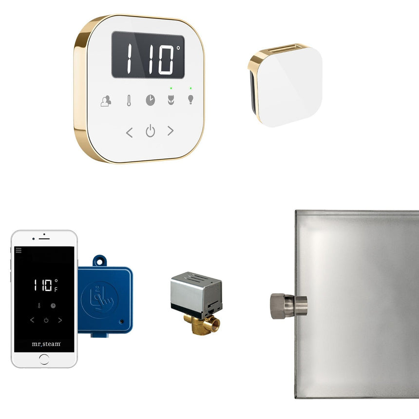 AirButler Steam Shower Steam Control Package with AirTempo Control and Aroma Glass SteamHead in White Polished Brass Main View