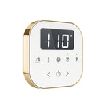 AirTempo Steam Shower Control and Aroma Glass SteamHead in White Brushed Bronze Angled View