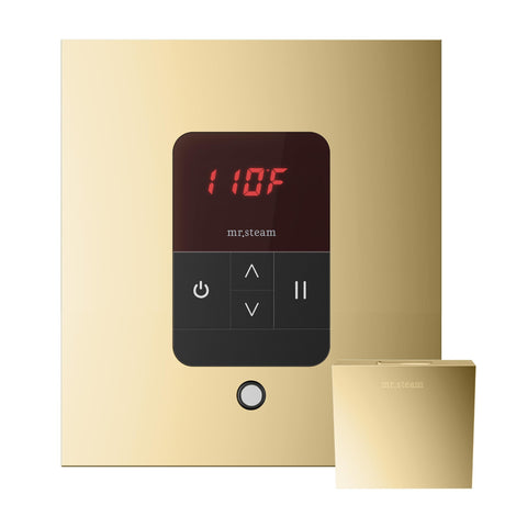 iTempo Steam Shower Control and Aroma Designer SteamHead in Square Polished Brass Main View