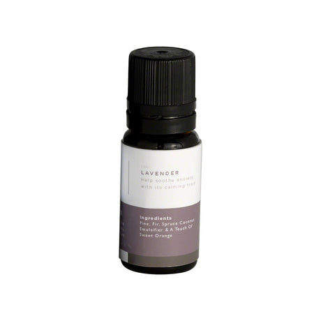 Lavender Essential Aroma Oil in 10 mL Bottle Main View