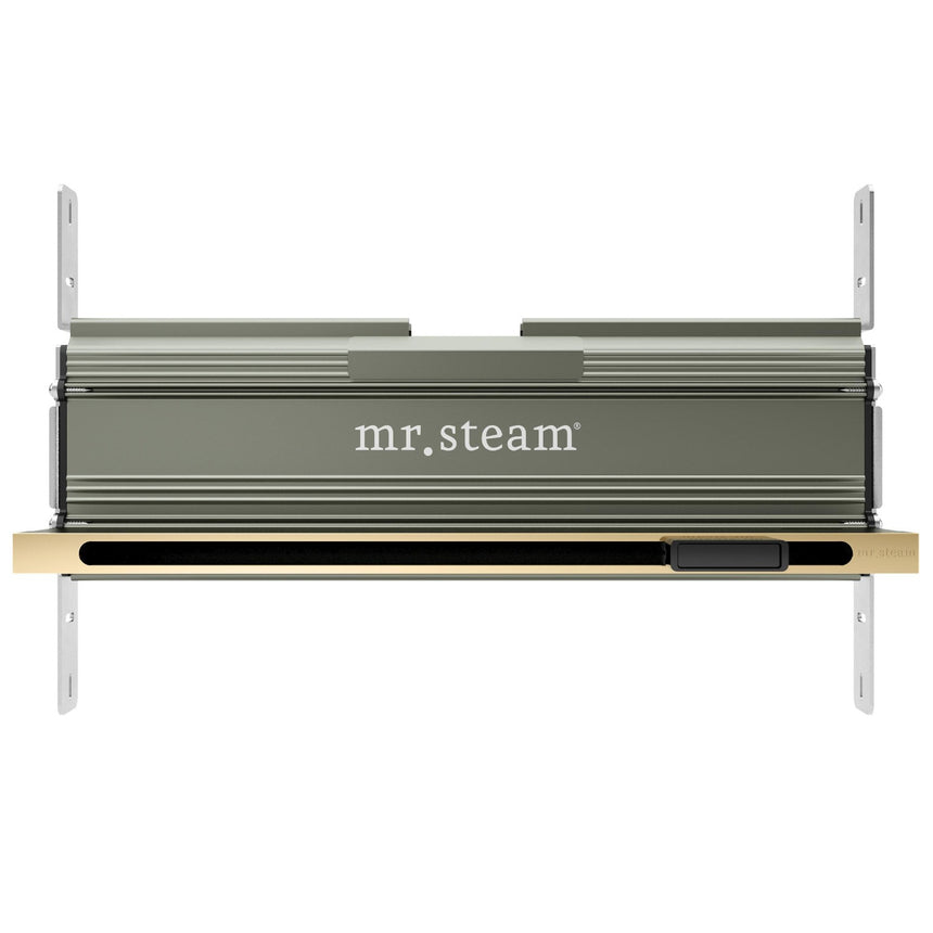 Linear 16 in. W. Steamhead with AromaTherapy Reservoir in Polished Brass Main View