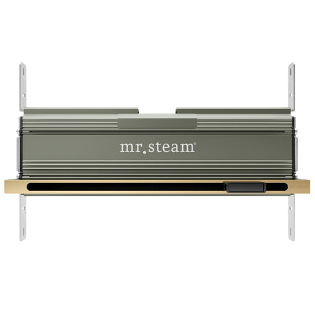 Linear 16 in. W. Steamhead with AromaTherapy Reservoir in Satin Brass Main View