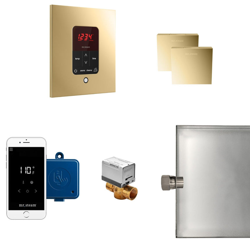 Butler Max Steam Shower Steam Control Package with iTempoPlus Control and Aroma Designer SteamHead in Square Polished Brass Main View