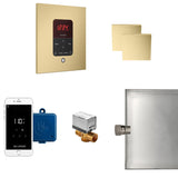 Butler Max Steam Shower Steam Control Package with iTempoPlus Control and Aroma Designer SteamHead in Square Satin Brass Main View