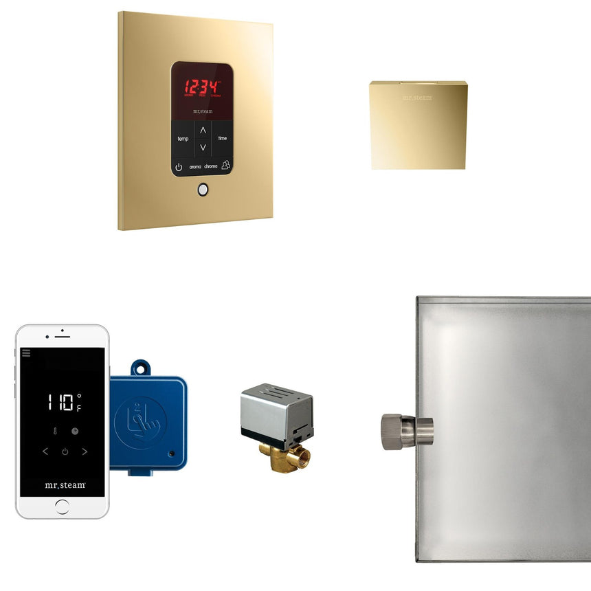 Butler Steam Shower Steam Control Package with iTempoPlus Control and Aroma Designer SteamHead in Square Polished Brass Main View