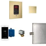 Butler Steam Shower Steam Control Package with iTempoPlus Control and Aroma Designer SteamHead in Square Satin Brass Main View