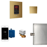 Butler Steam Shower Steam Control Package with iTempoPlus Control and Aroma Designer SteamHead in Square Custom Plated/Unfinished Main View