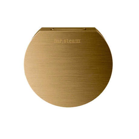 Aroma Designer 3 in. W. Steamhead with AromaTherapy Reservoir in Round Brushed Bronze Main View