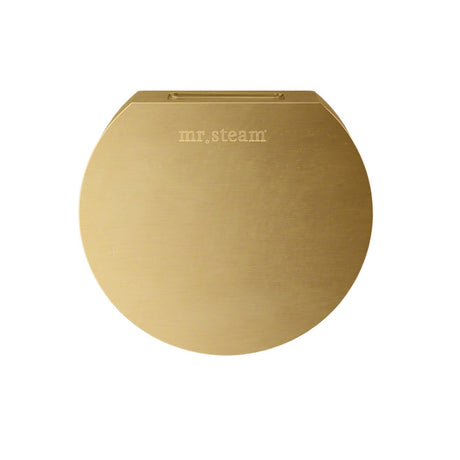 Aroma Designer 3 in. W. Steamhead with AromaTherapy Reservoir in Round Satin Brass Main View