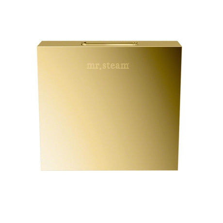 Aroma Designer 3 in. W. Steamhead with AromaTherapy Reservoir in Square Polished Brass Main View