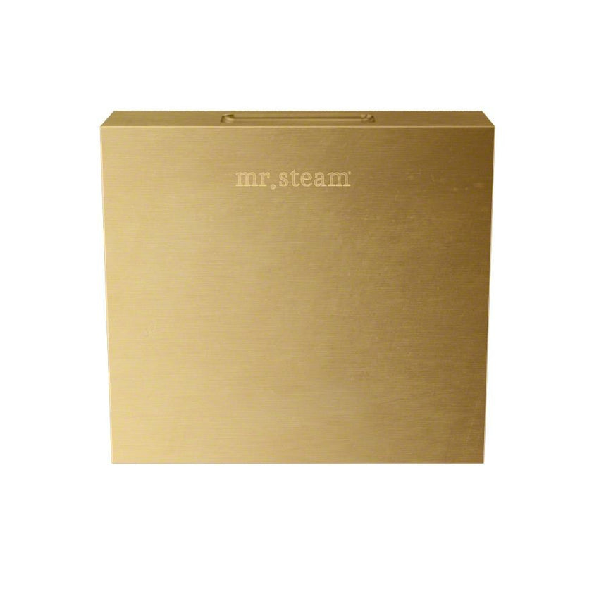 Aroma Designer 3 in. W. Steamhead with AromaTherapy Reservoir in Square Satin Brass Main View