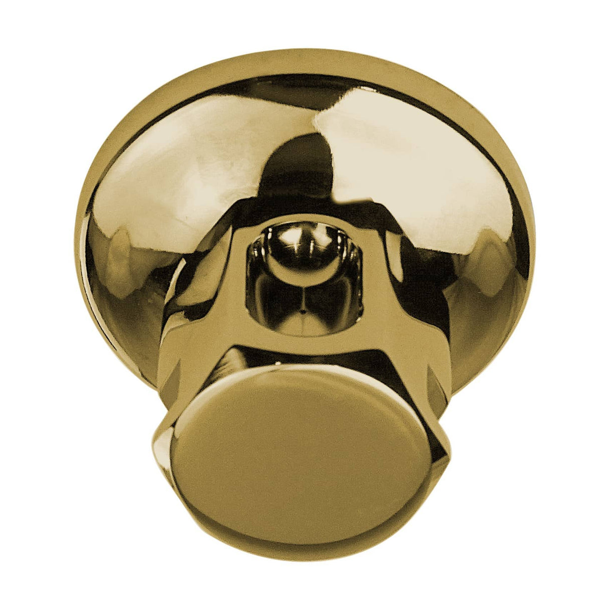 thermasol classic steam head the056 polished brass mockup
