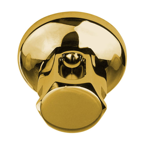 thermasol classic steam head the056 polished gold mockup