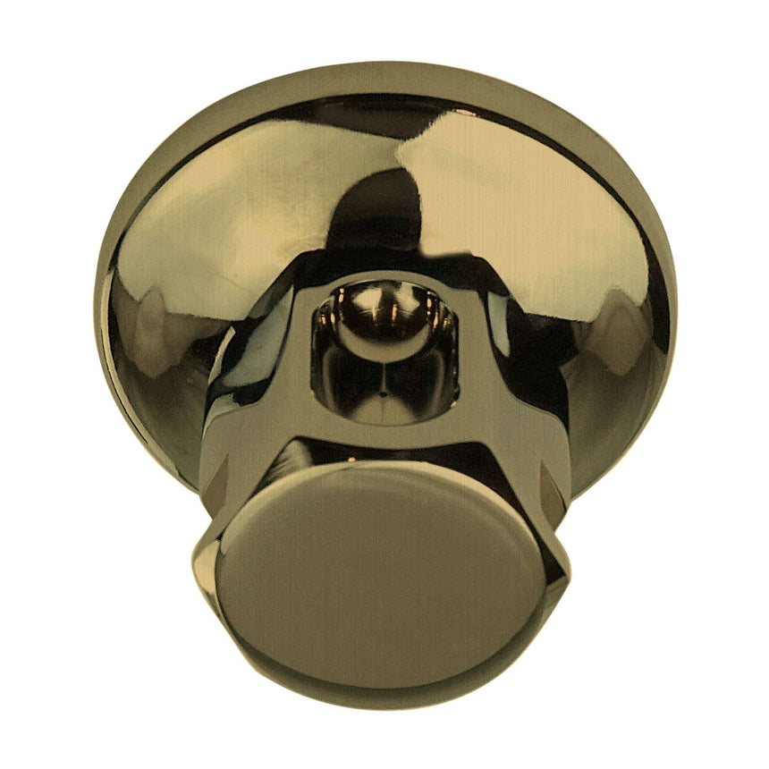 thermasol classic steam head the056 satin brass mockup